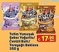 Evliya Tofim Yumuşak Şeker Yoğurtlu/Cevizli Ballı/Tereyağlı Baklavalı 350 g image