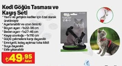 Kiwipets Kedi Göğüs Tasması&Kayış Seti  image