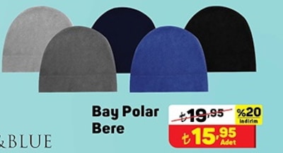 Bay Polar Bere image