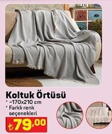 Koltuk Örtüsü image