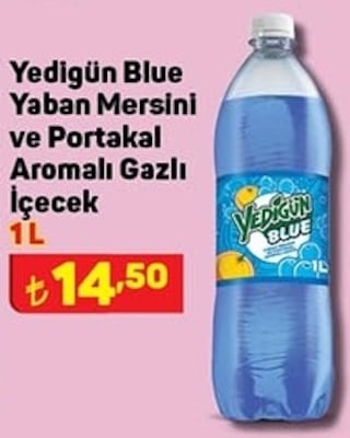 Yedigün Blue Yaban Mersini ve Portakal Aromalı Gazlı İçecek 1 L image