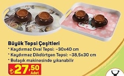 Büyük Tepsi Çeşitleri image
