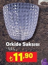 Orkide Saksısı 1,5 L image