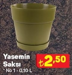 Yasemin Saksı No 1 - 0,10 L image