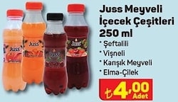 Juss Meyveli İçecek Çeşitleri 250 ml image