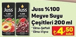 Juss %100 Meyve Suyu Çeşitleri 200 ml image