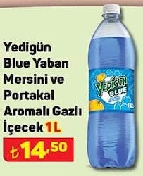 Yedigün Blue Yaban Mersini ve Portakal Aromalı Gazlı İçecek 1 L image