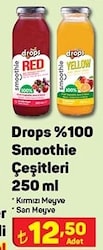 Drops %100 Smoothie Çeşitleri 250 ml image