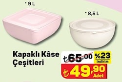 Kapaklı Kase Çeşitleri 9 L / 8,5 L image