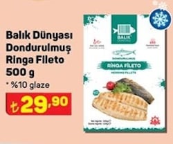 Balık Dünyası Dondurulmuş Ringa Fileto 500 gr image