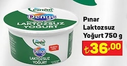 Pınar Laktozsuz Yoğurt 750 g image