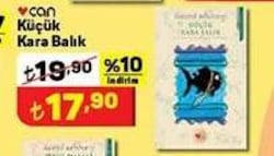 Can Küçük Kara Balık image