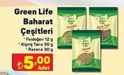 Green Life Baharat 12/30/30 g Çeşitleri image