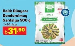 Balık Dünyası Dondurulmuş Sardalya 500 g image