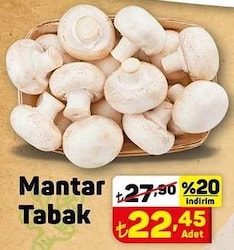 Mantar Tabak Adet image