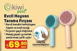 Kiwi Pets Evcil Hayvan Tarama Fırçası image