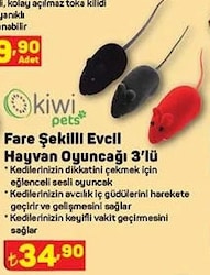 Kiwi Pets Fare Şekilli Evcil Hayvan Oyuncağı 3'lü image