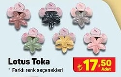 Lotus Toka image