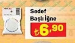 Sedef Başlı İğne image