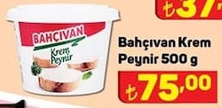 Bahçıvan Krem Peynir 500 g image