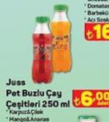 Juss Pet Buzlu Çay 250 ml Çeşitleri image