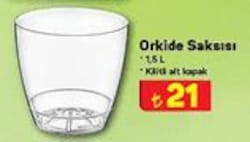 Orkide Saksısı 1,5 l image