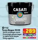 Casati Sinergia Tavan Boyası 10 KG image
