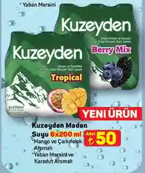 Kuzeyden Maden Suyu 6x200ml image