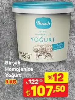 Birşah Homojenize Yoğurt 3000 g image