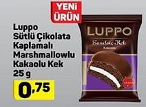 Luppo Sütlü Çikolata Kaplamalı Marshmallowlu Kakaolu Kek 25 g image