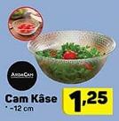 Ardacam Cam Kase 12 cm image