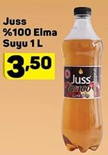 Juss %100 Elma Suyu 1 L image