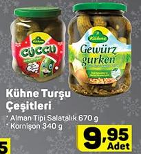 Kühne Turşu Çeşitleri image