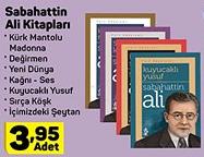 Sabahattin Ali Kitapları image