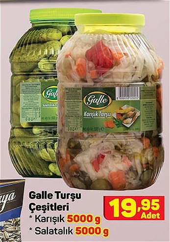Galle Turşu Çeşitleri/Adet image