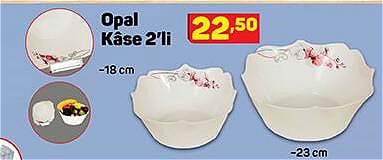 Opal Kase 2'li image