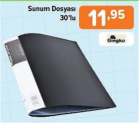 Gingko Sunum Dosyası 30'lu image