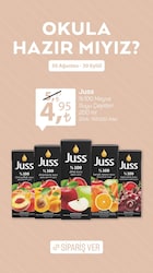 Juss %100 Meyve Suyu 200 ml Çeşitleri image