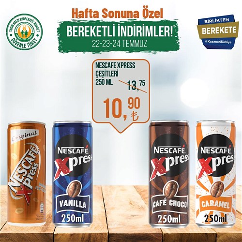 Nescafe Xpress Çeşitleri 250 ml image