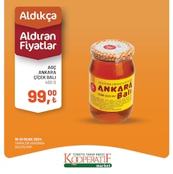 AOÇ Ankara Çiçek Balı 480 g image