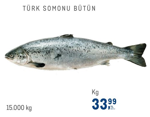 Türk Somonu Bütün kg image