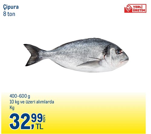 Çipura 400-600 g 10 kg ve Üzeri Alımlarda image