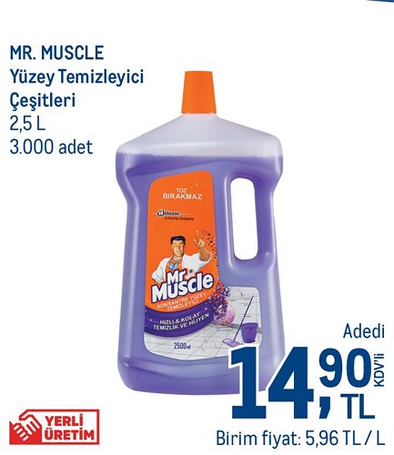 Mr. Muscle Yüzey Temizleyici Çeşitleri 2,5 L image