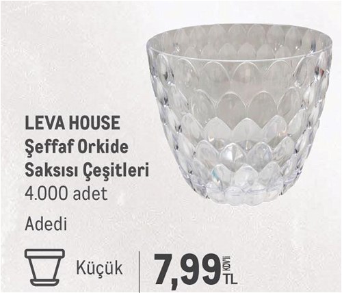 Leva House Şeffaf Orkide Saksısı Çeşitleri - Küçük image