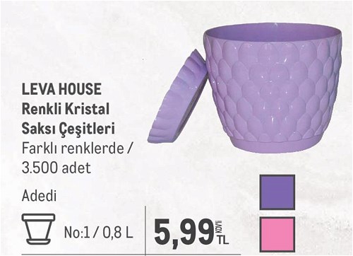 Leva House Renkli Kristal Saksı Çeşitleri No:1/0,8 L image