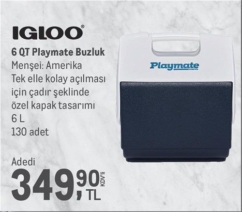 Igloo 6 QT Playmate Buzluk 6 L image