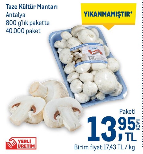 Taze Kültür Mantarı Antalya 800 g'lık Pakette Paketi image