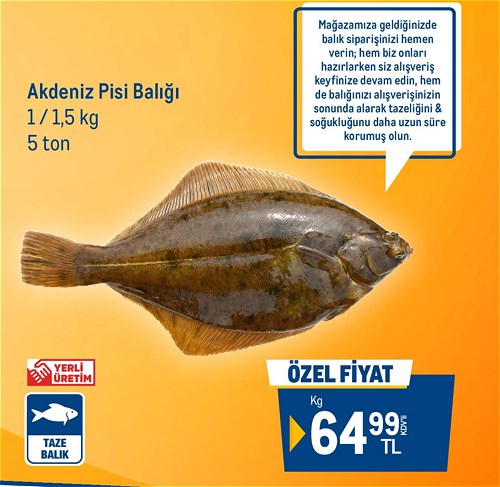 Metro Chef Akdeniz Pisi Balığı 1 / 1,5 kg image