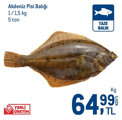 Akdeniz Pisi Balığı 1/1.5 Kg/Kg image