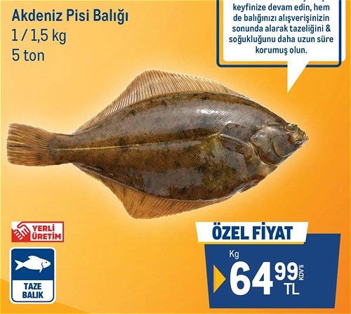 Akdeniz Pisi Balığı 1/1.5 kg Kg image